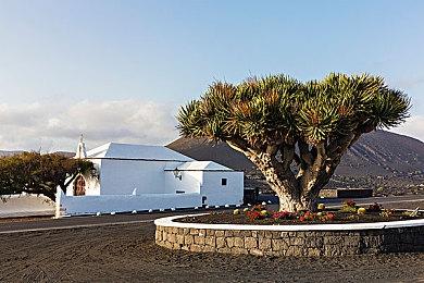 暗黑肉鸽游戏《暖雪》今日上线Steam 售价58元