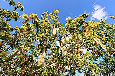 《黑帝斯》风格《圣杯誓约》现已推出限时试玩版